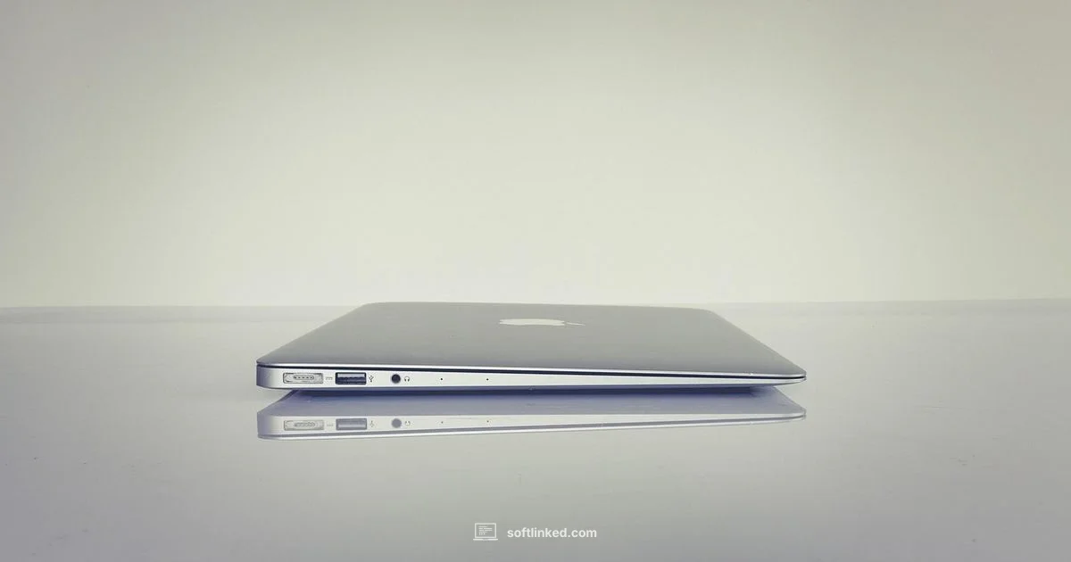 Future of Software Teams - SoftLinked