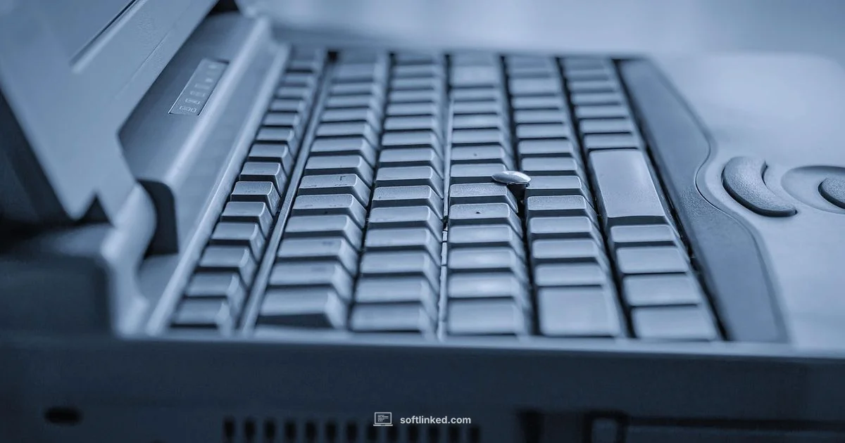Software in Practice - SoftLinked