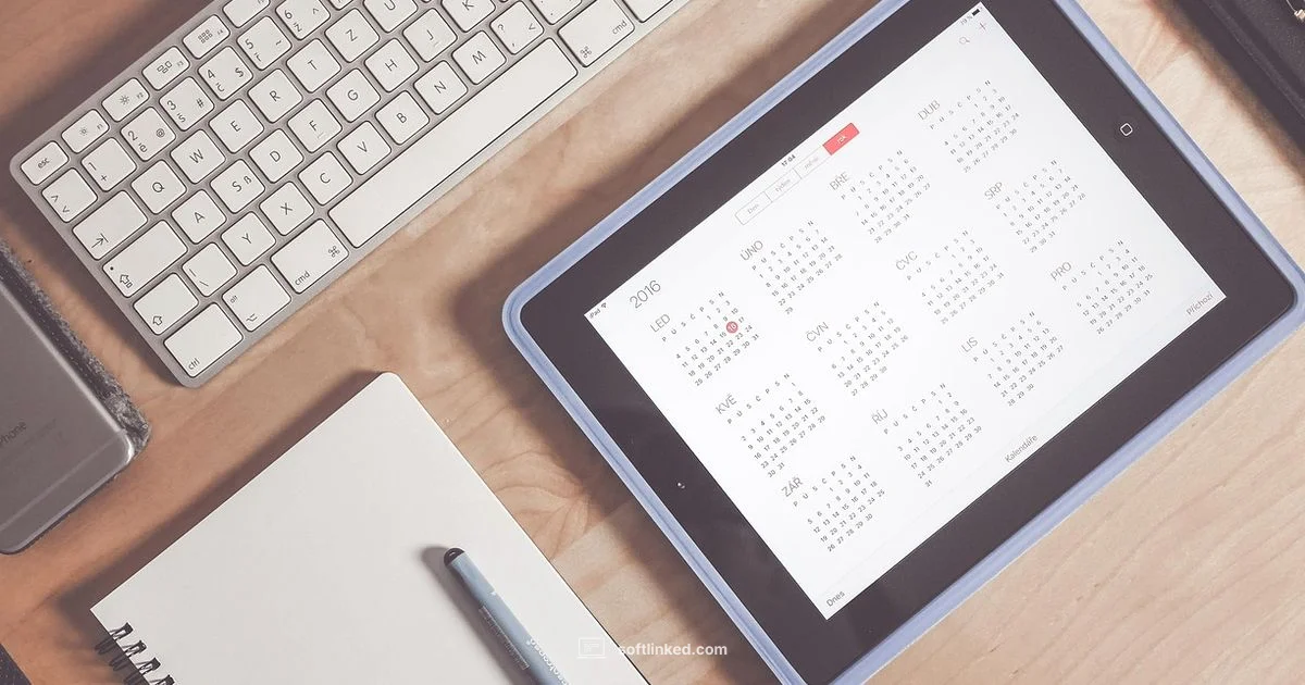 PDF Editor Insights - SoftLinked