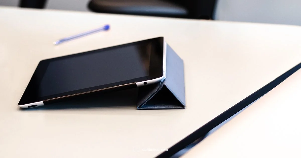 Software System Basics - SoftLinked