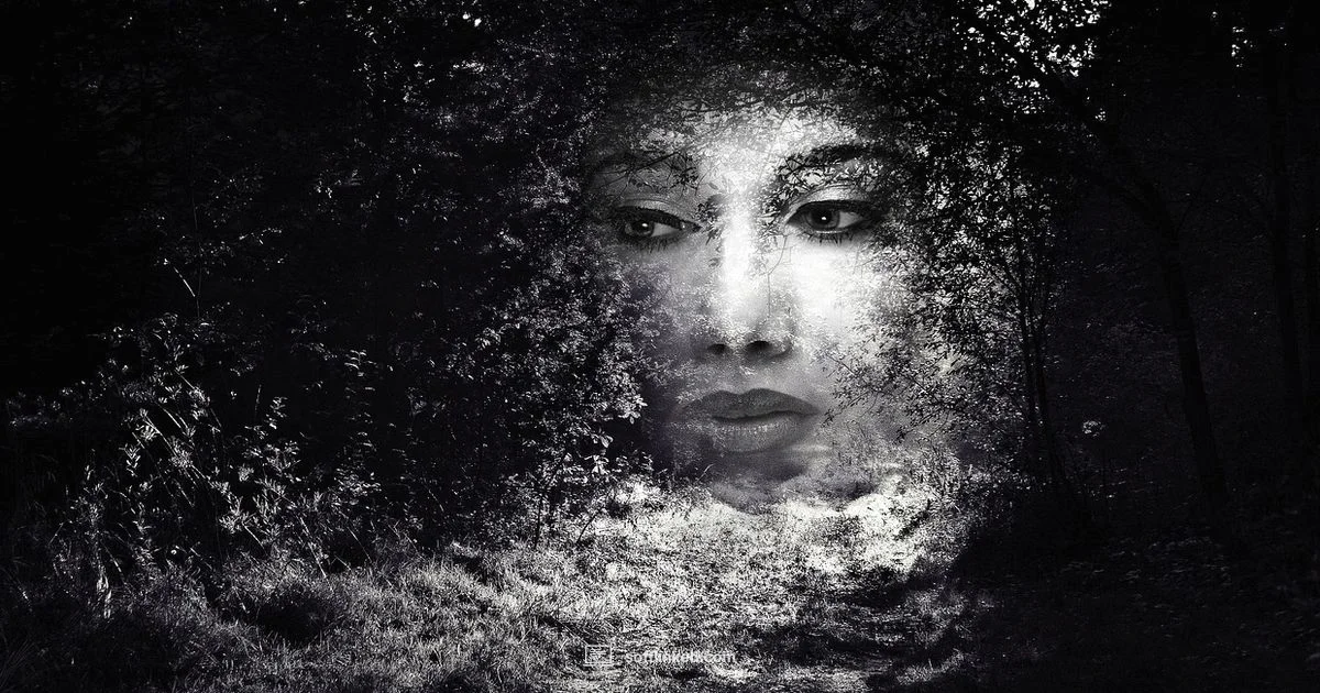 Editing Tools - SoftLinked