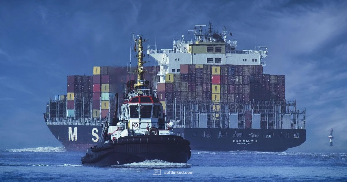 Tariffs on Software - SoftLinked