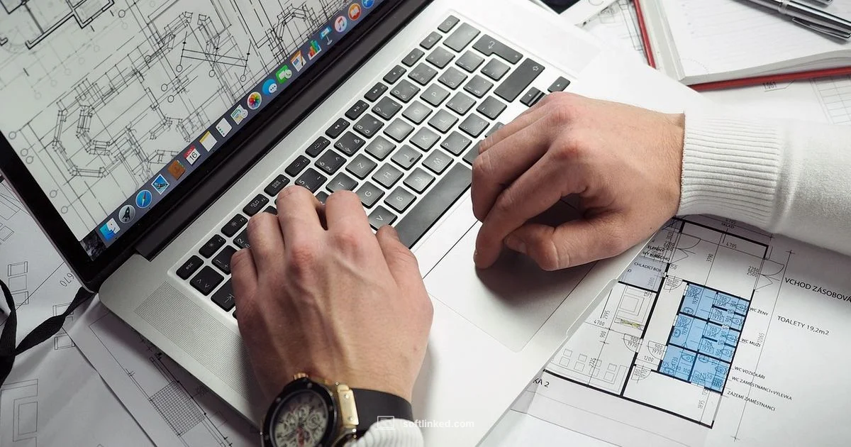 Who Software Explained - SoftLinked