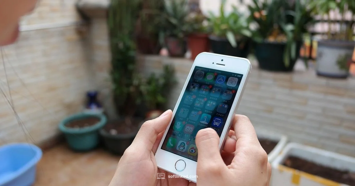 iPhone Recovery Tools - SoftLinked