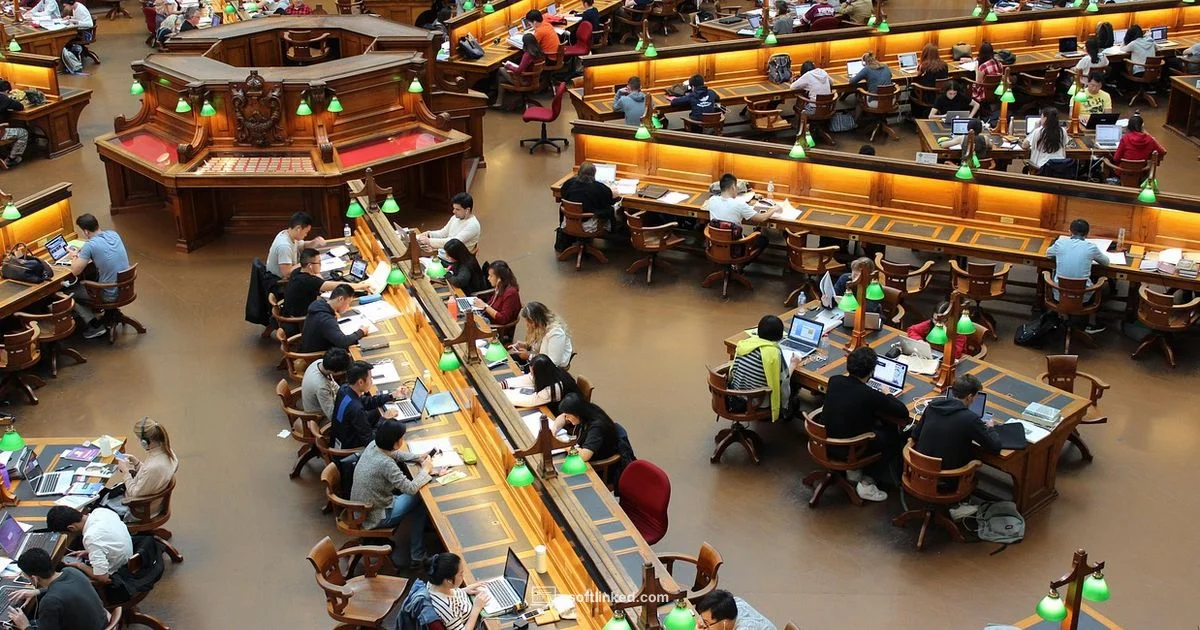 Software Engineering Path - SoftLinked