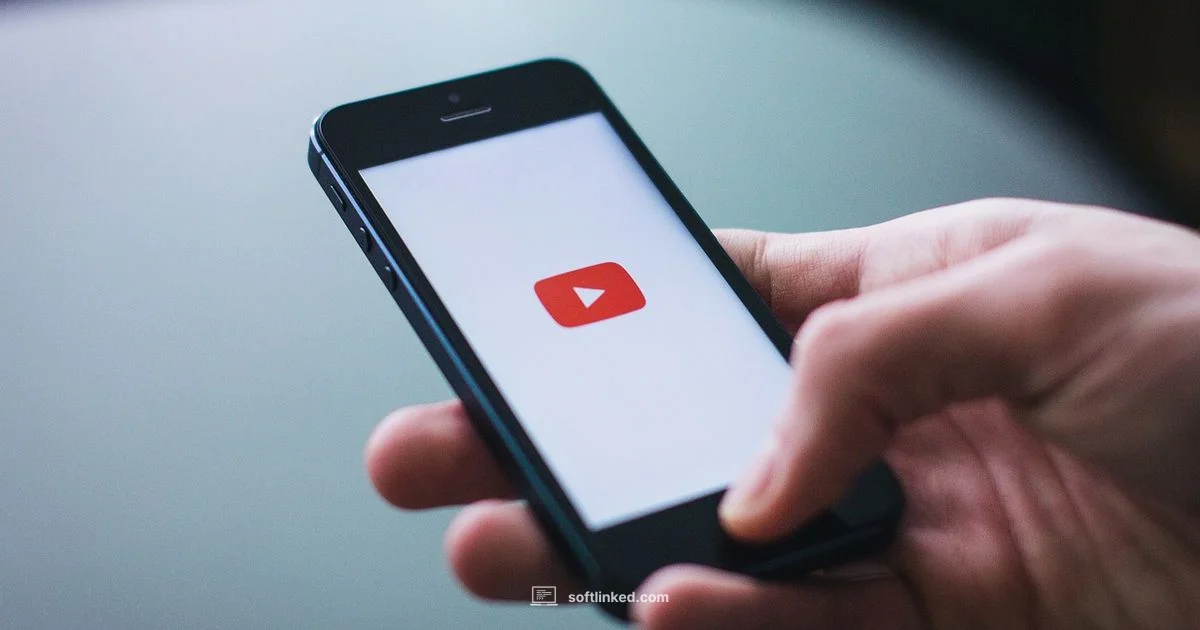 Offline YouTube on iPhone - SoftLinked