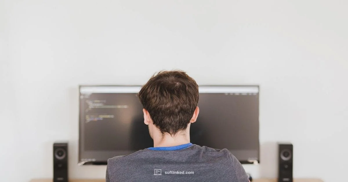 Software vs IT - SoftLinked