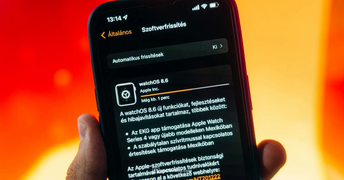 Update Time - SoftLinked