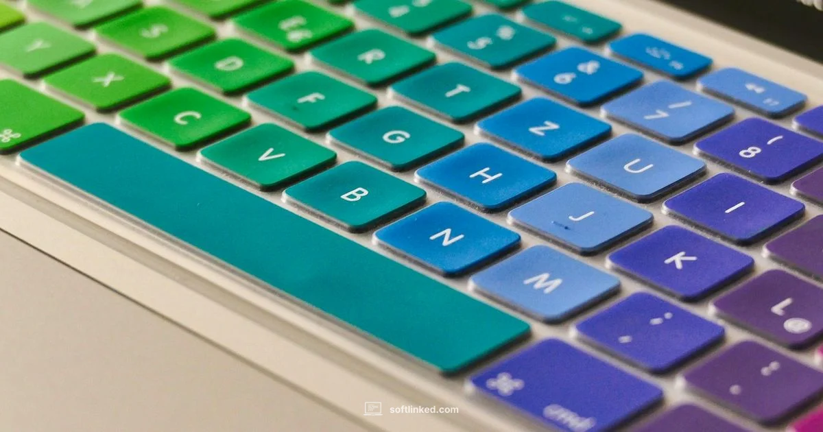 Indesign Software Guide - SoftLinked