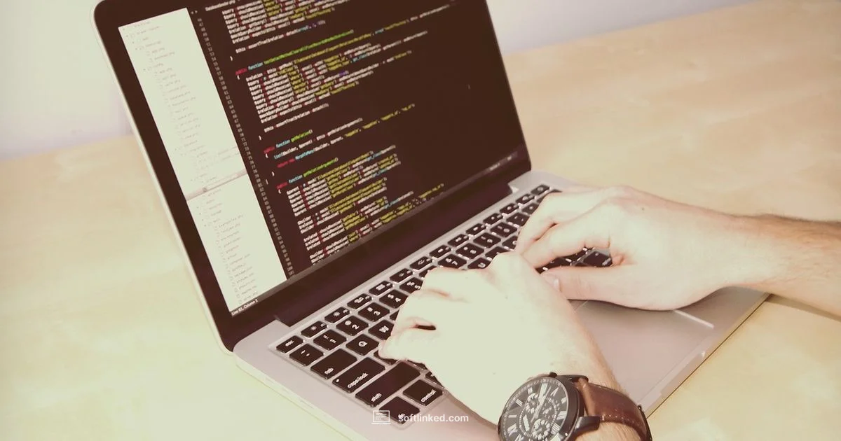 Definition and guidance - SoftLinked