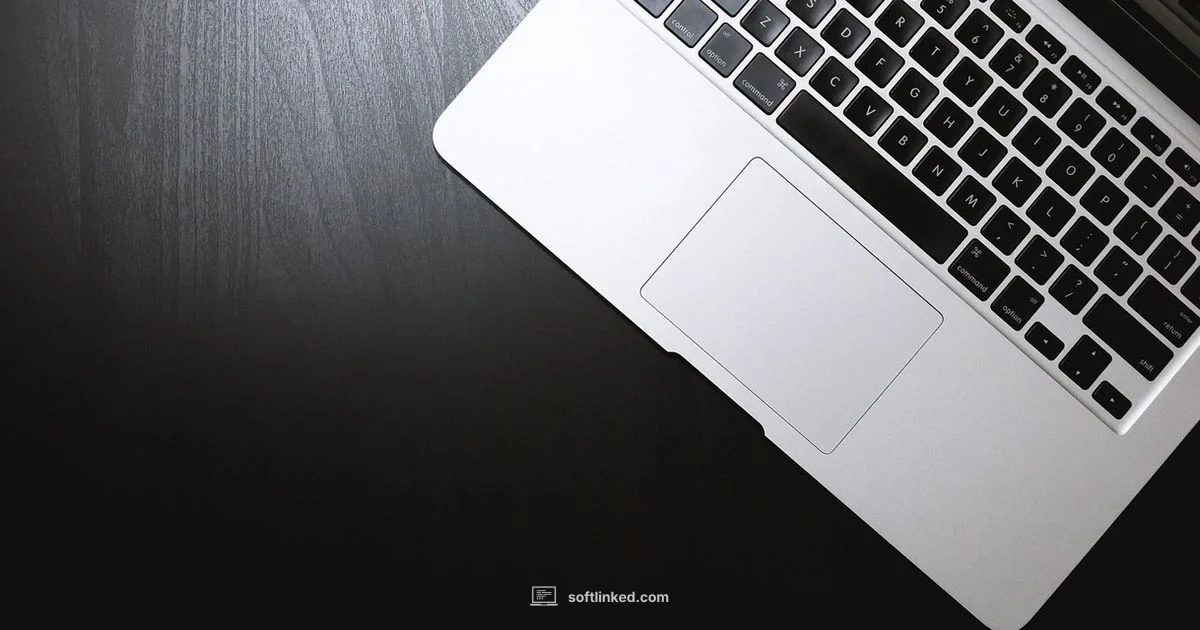Snapdragon Compatibility - SoftLinked