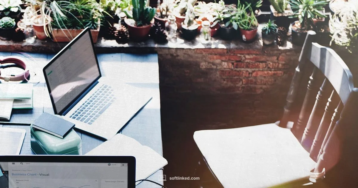 Current macOS Software - SoftLinked