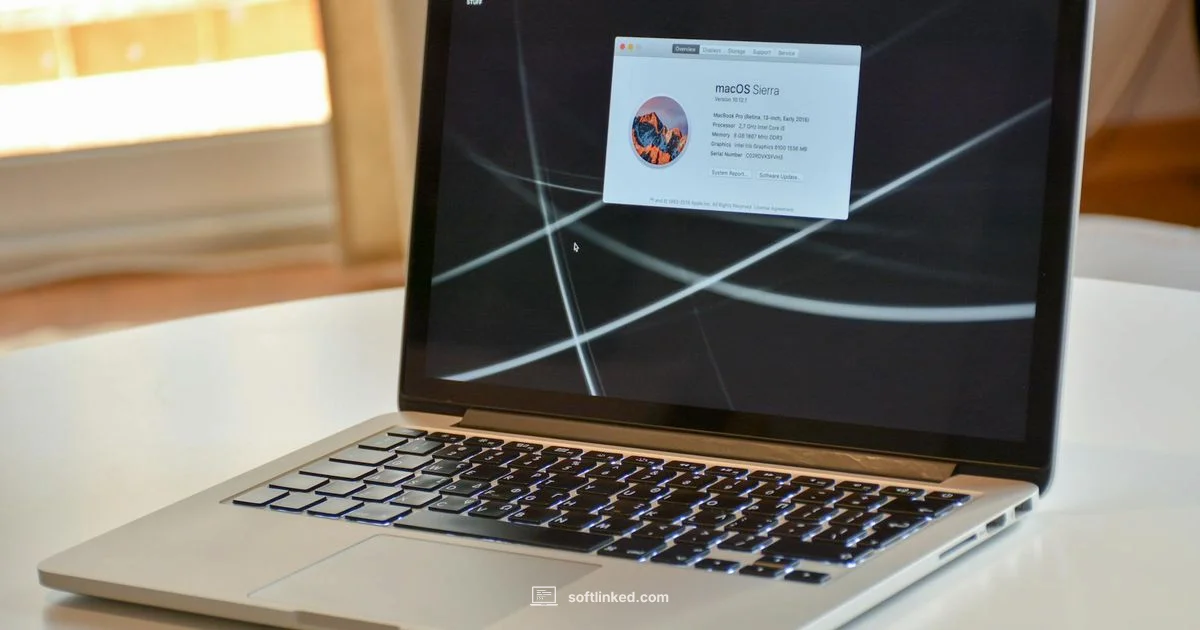 Mac Updates - SoftLinked