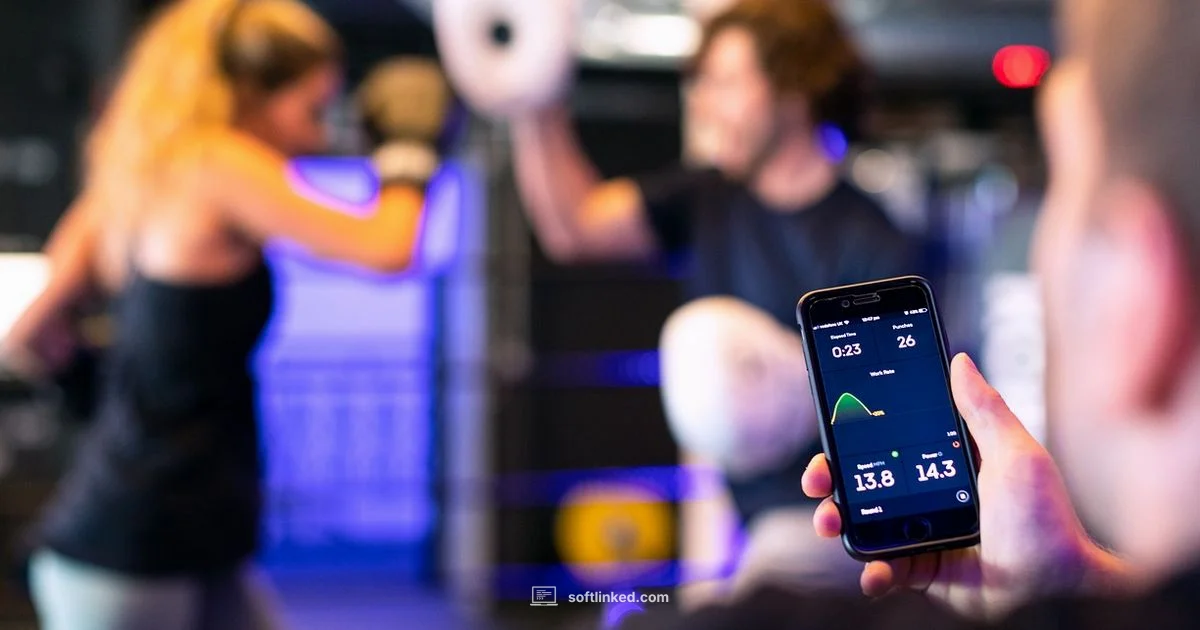 New Career Path - SoftLinked