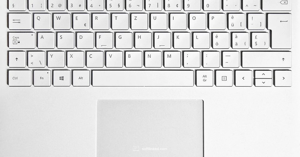 Software ms access guide - SoftLinked