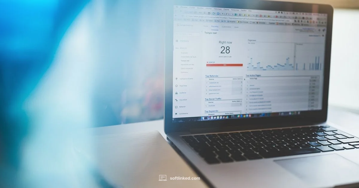 Statistical Analysis Essentials - SoftLinked