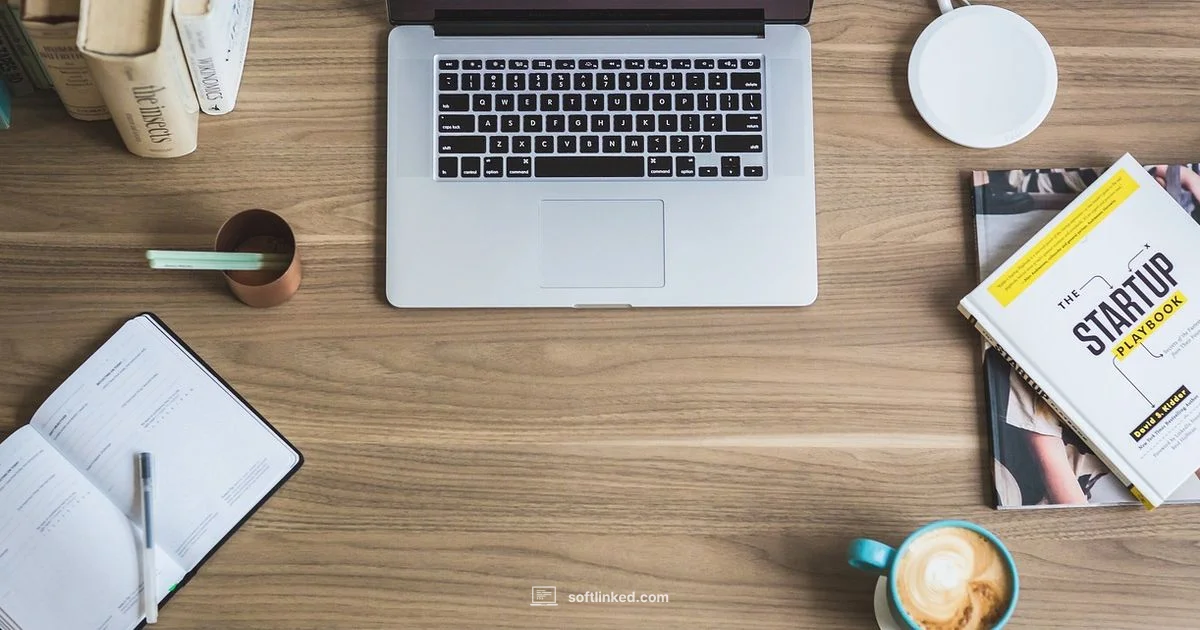 Functional Test Software Functional Test Software - SoftLinked