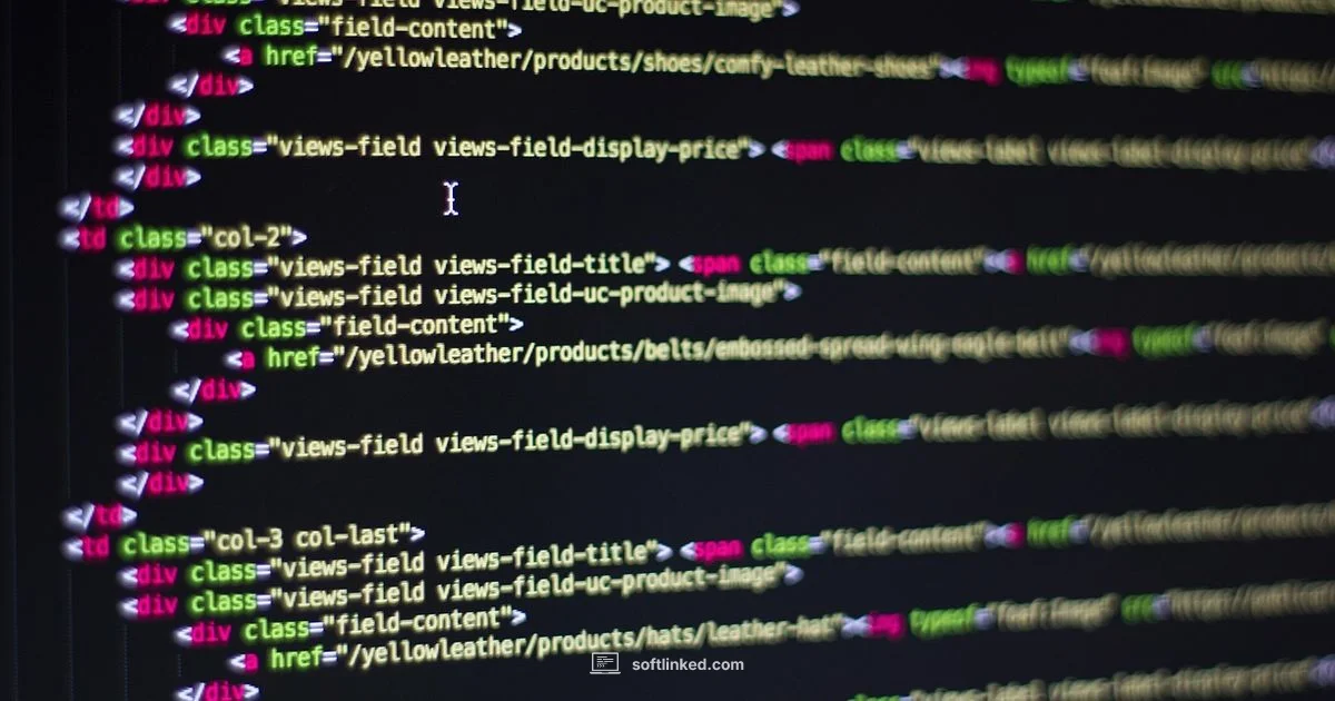 Software Copyright Explained - SoftLinked