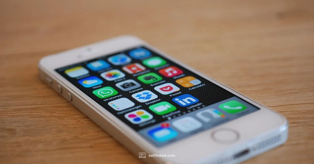Understanding iOS Software - SoftLinked