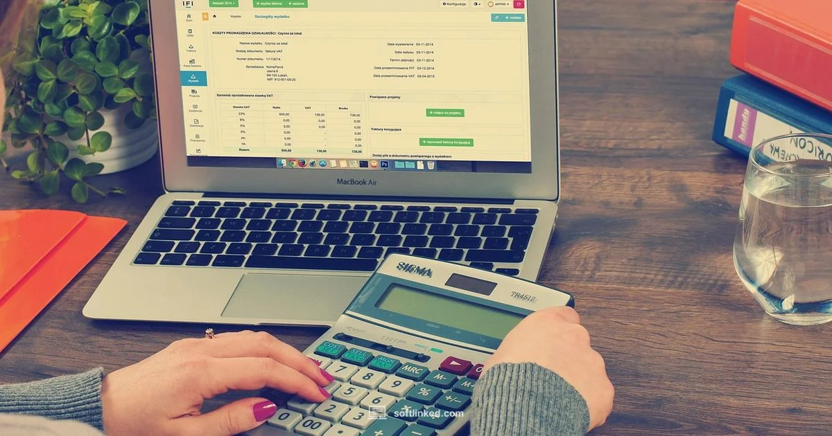 Best Bookkeeping Tools - SoftLinked