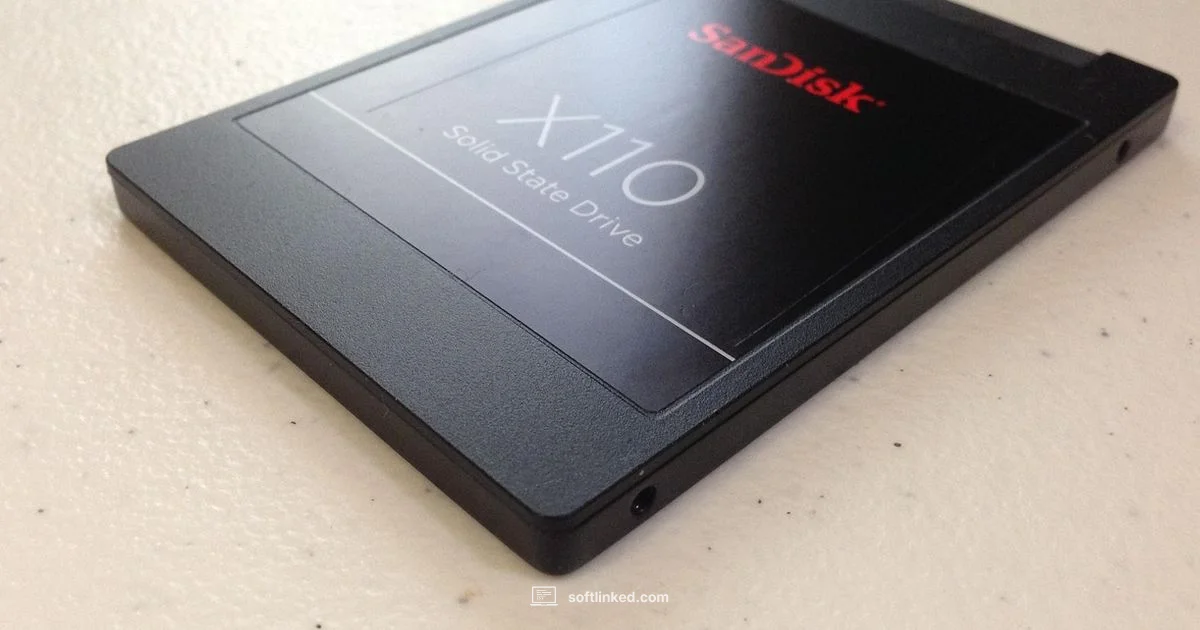 SanDisk Software Guide - SoftLinked