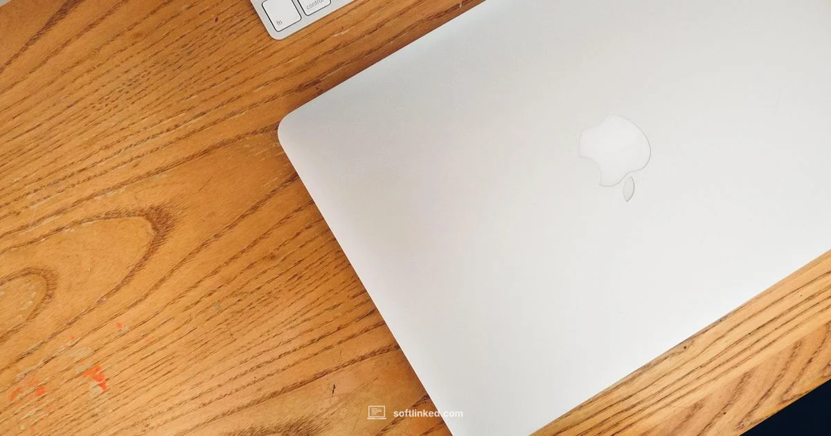 Mac Recovery Mastery - SoftLinked