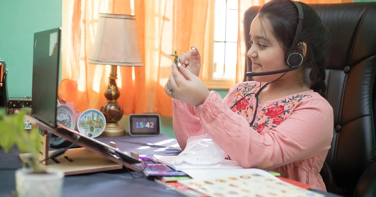 Online Software Engineering - SoftLinked