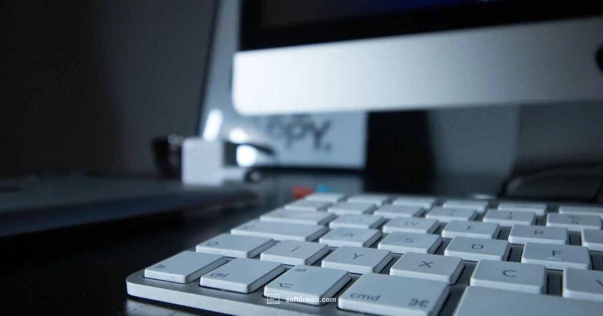 Windows Screen Recorder - SoftLinked