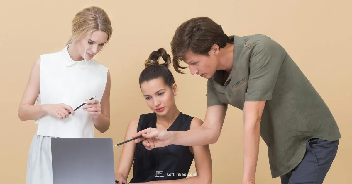 Quality Model in Action - SoftLinked