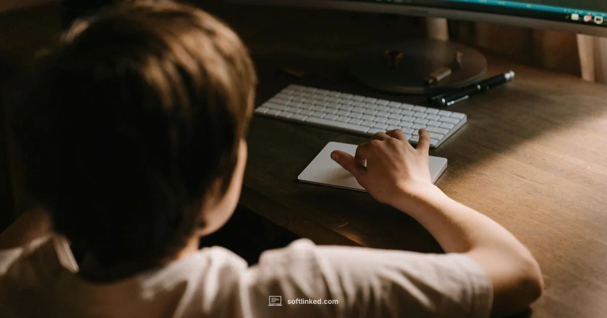 SE Masters Guide - SoftLinked