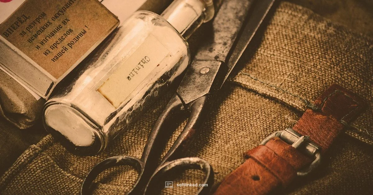 SoftWave vs Shockwave - SoftLinked