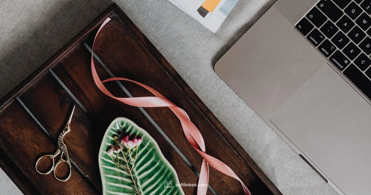 Laptop Protection - SoftLinked