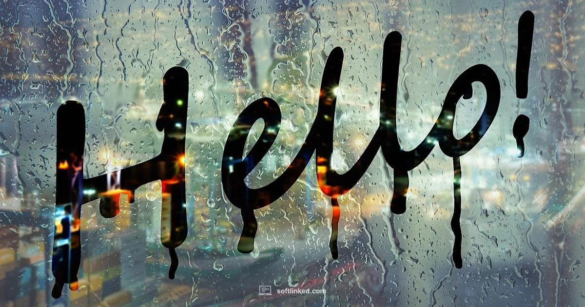 GIMP Starter GIMP Starter - SoftLinked