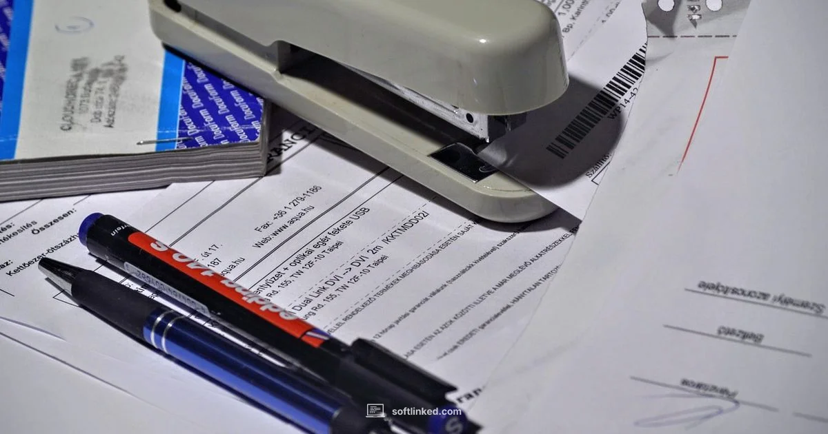 Cloud Accounting Basics - SoftLinked