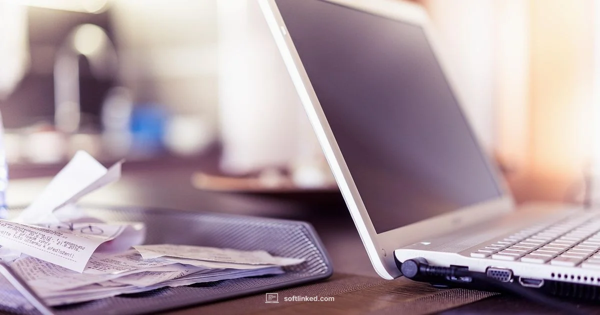 Control Software Piracy - SoftLinked