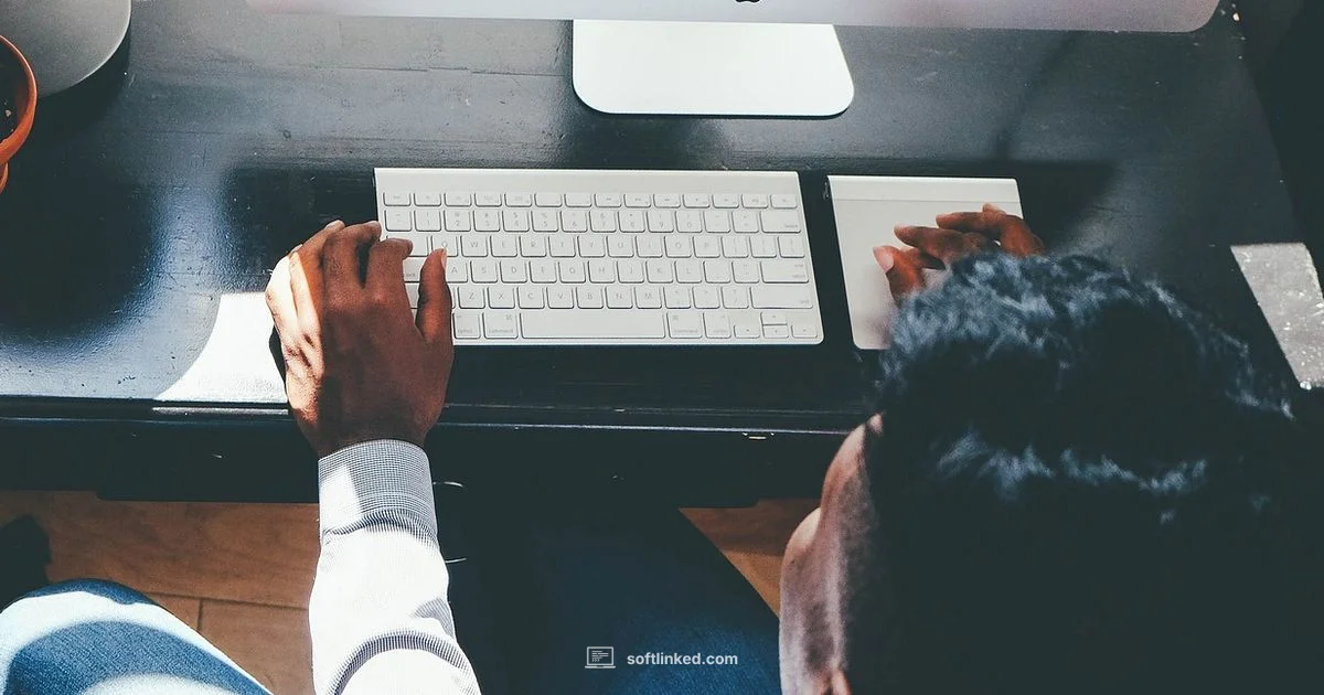 Excel Programming Basics - SoftLinked