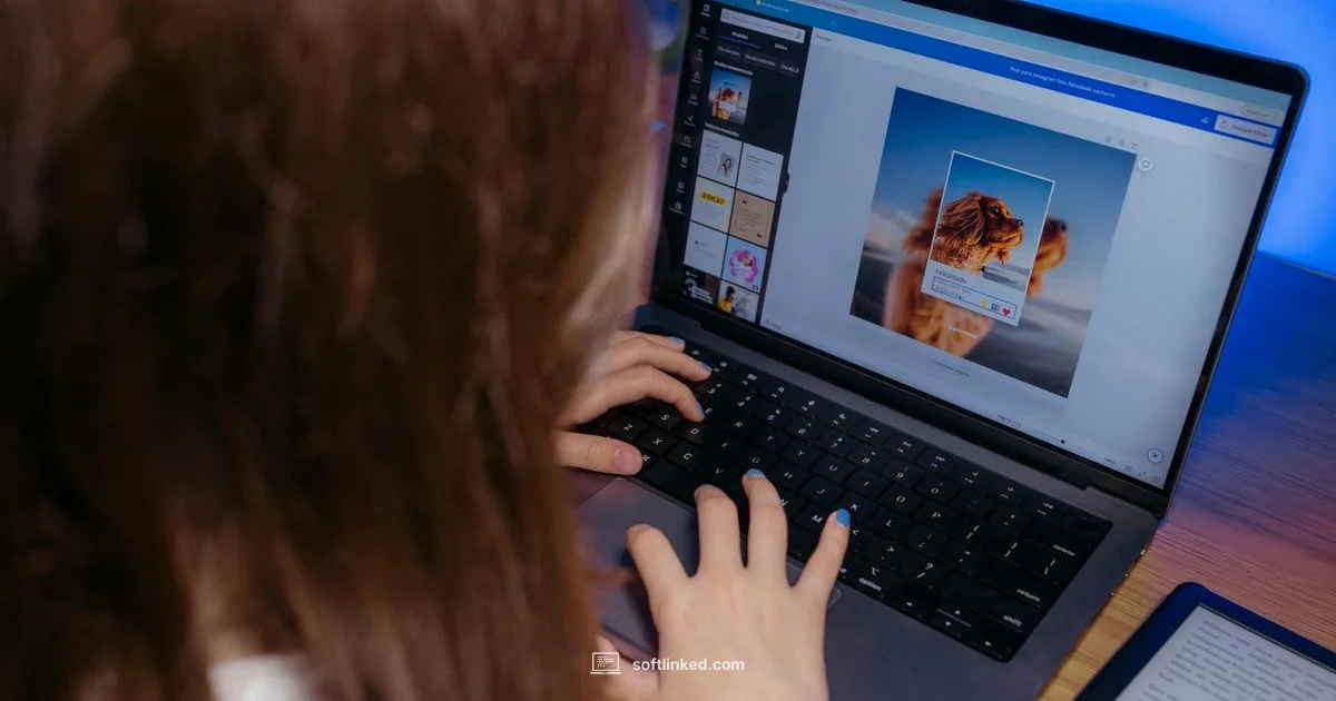 Software Skills - SoftLinked