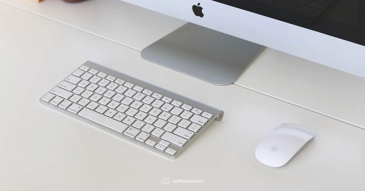 Mac Screen Capture - SoftLinked