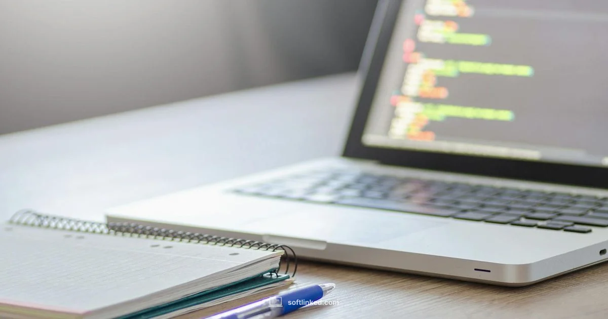 Update Guide - SoftLinked