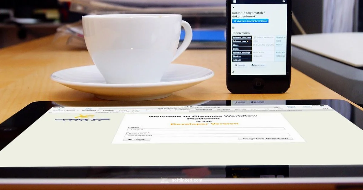 ERP Software Guide - SoftLinked