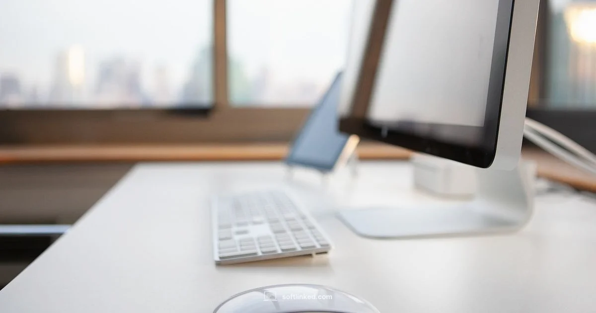 Crash Troubleshooter - SoftLinked