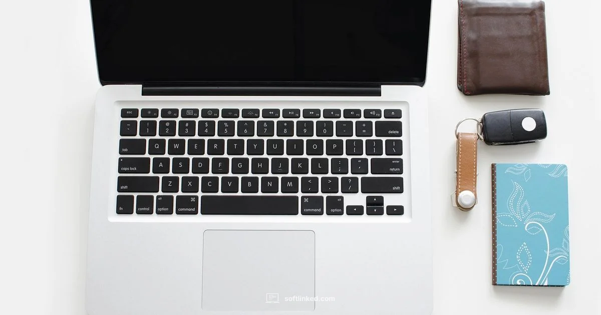 Update Flow - SoftLinked