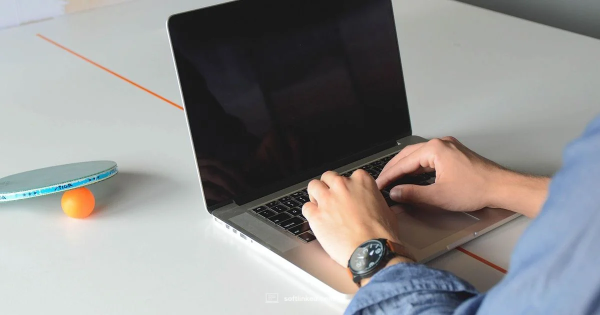 Software Eats the World - SoftLinked