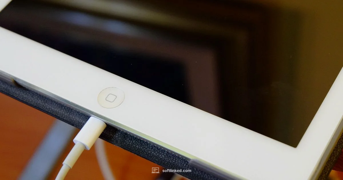 Inventory Management Insight - SoftLinked