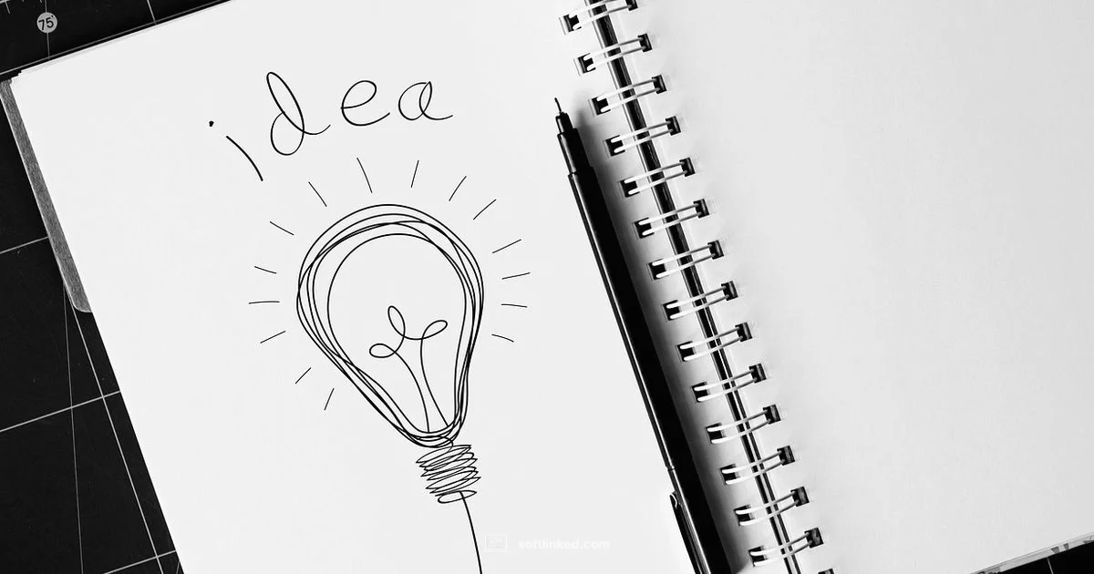 Software Basics 101 - SoftLinked