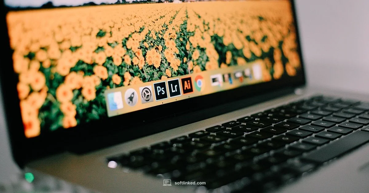 Adobe Free Guide - SoftLinked