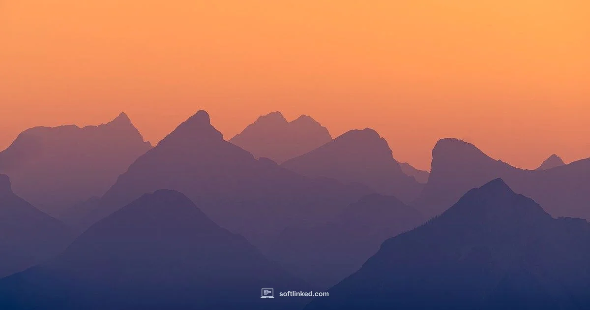 Install AnyDesk on Windows Install AnyDesk on Windows - SoftLinked