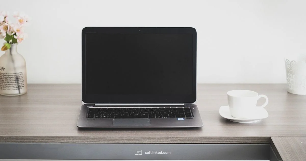 Testing Workflow - SoftLinked