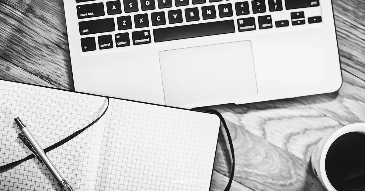 Career Paths After SWE - SoftLinked