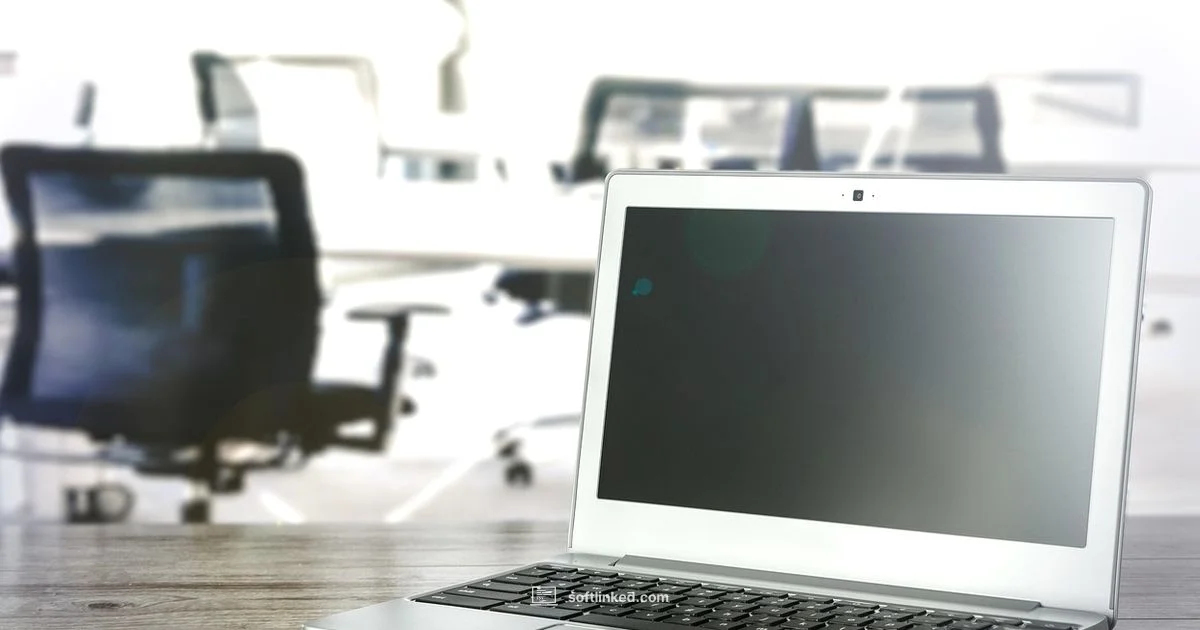 Speed Up Updates - SoftLinked